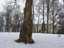 Park w Wdrznie zimą